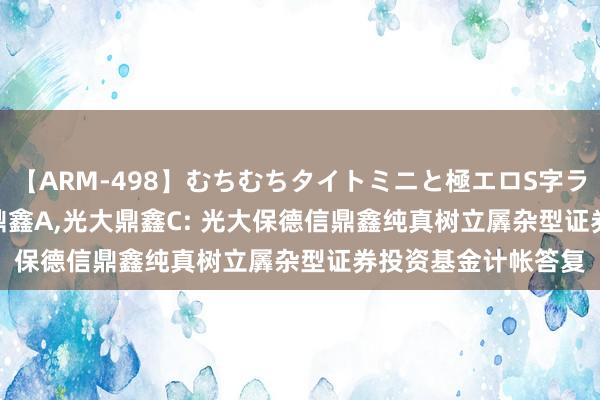 【ARM-498】むちむちタイトミニと極エロS字ライン 2 AIKA 光大鼎鑫A,光大鼎鑫C: 光大保德信鼎鑫纯真树立羼杂型证券投资基金计帐答复