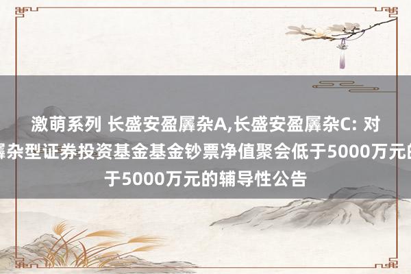 激萌系列 长盛安盈羼杂A,长盛安盈羼杂C: 对于长盛安盈羼杂型证券投资基金基金钞票净值聚会低于5000万元的辅导性公告