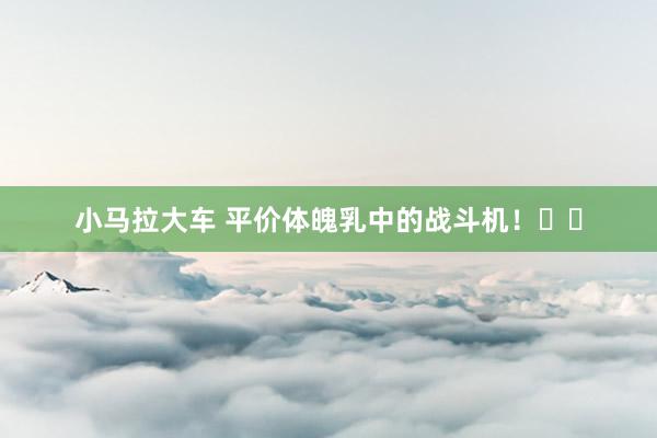 小马拉大车 平价体魄乳中的战斗机!✈️
