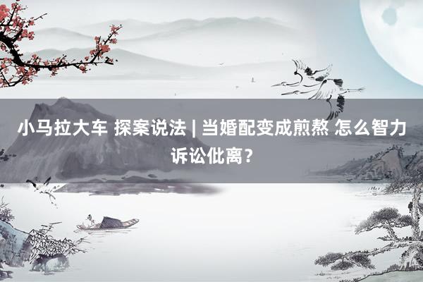 小马拉大车 探案说法 | 当婚配变成煎熬 怎么智力诉讼仳离？