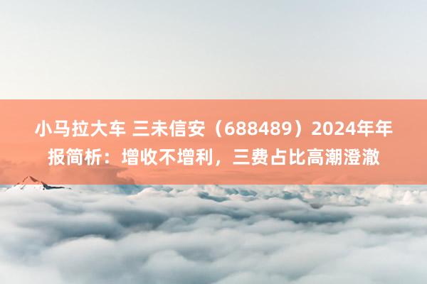 小马拉大车 三未信安（688489）2024年年报简析：增收不增利，三费占比高潮澄澈