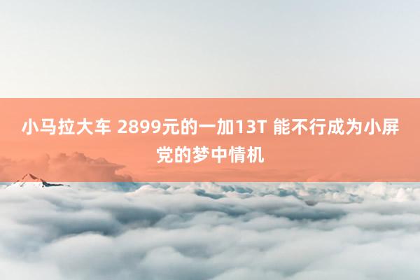 小马拉大车 2899元的一加13T 能不行成为小屏党的梦中情机