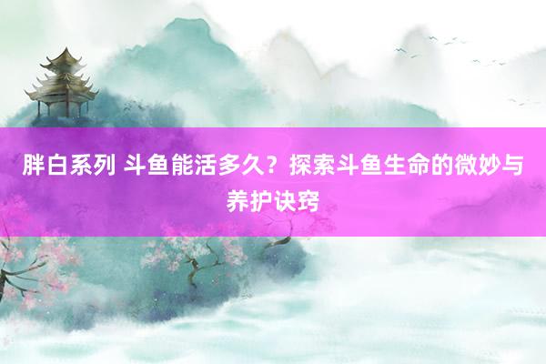 胖白系列 斗鱼能活多久？探索斗鱼生命的微妙与养护诀窍