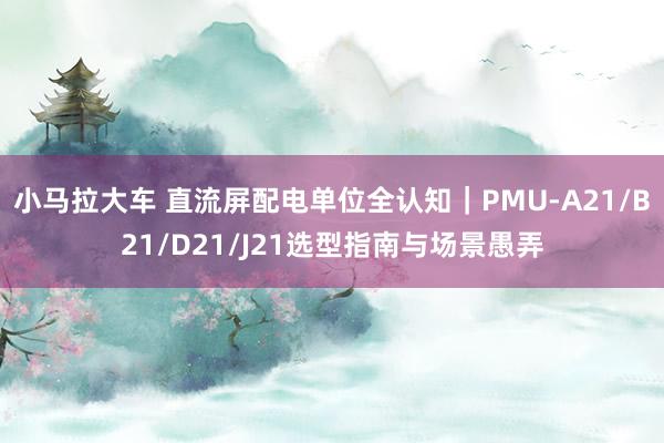 小马拉大车 直流屏配电单位全认知｜PMU-A21/B21/D21/J21选型指南与场景愚弄