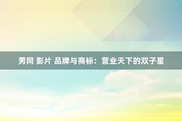 男同 影片 品牌与商标：营业天下的双子星