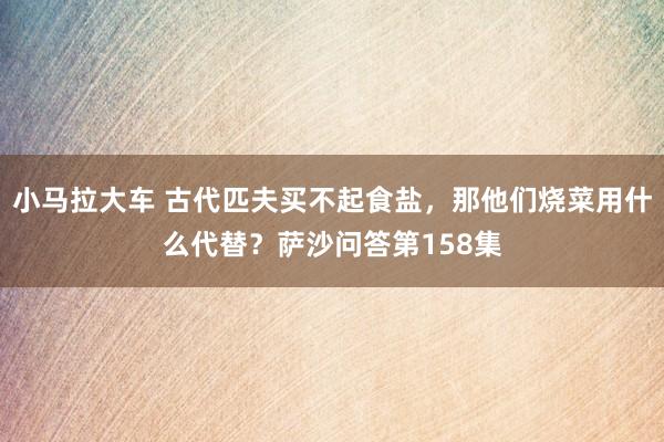 小马拉大车 古代匹夫买不起食盐，那他们烧菜用什么代替？萨沙问答第158集