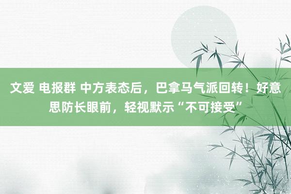 文爱 电报群 中方表态后，巴拿马气派回转！好意思防长眼前，轻视默示“不可接受”