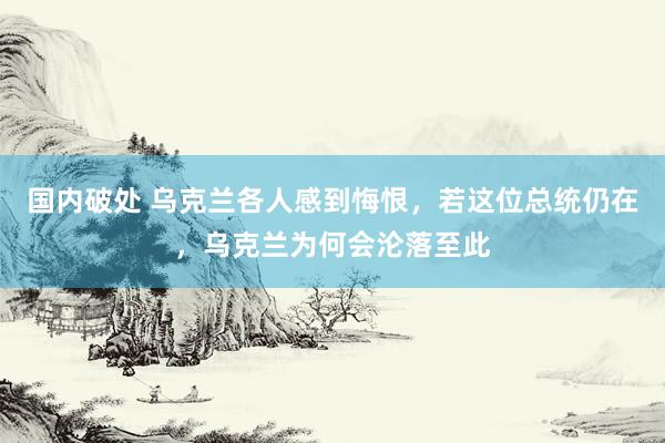国内破处 乌克兰各人感到悔恨，若这位总统仍在，乌克兰为何会沦落至此