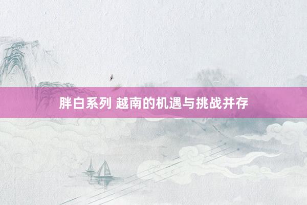 胖白系列 越南的机遇与挑战并存