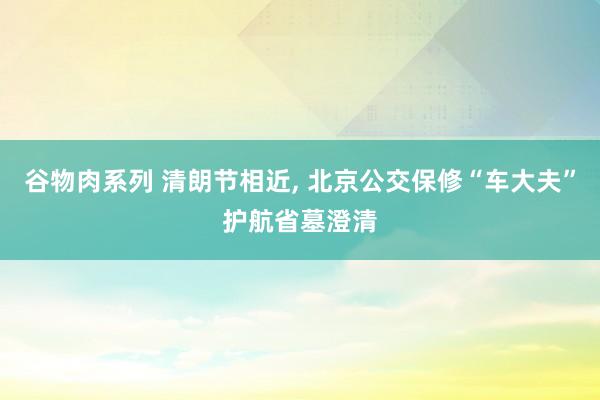 谷物肉系列 清朗节相近， 北京公交保修“车大夫”护航省墓澄清