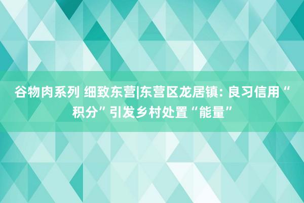 谷物肉系列 细致东营|东营区龙居镇: 良习信用“积分”引发乡村处置“能量”