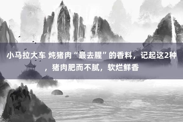 小马拉大车 炖猪肉“最去腥”的香料，记起这2种，猪肉肥而不腻，软烂鲜香